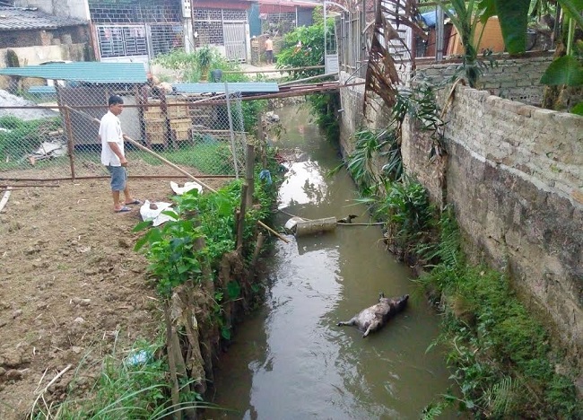 Thông tin từ đường dây nóng